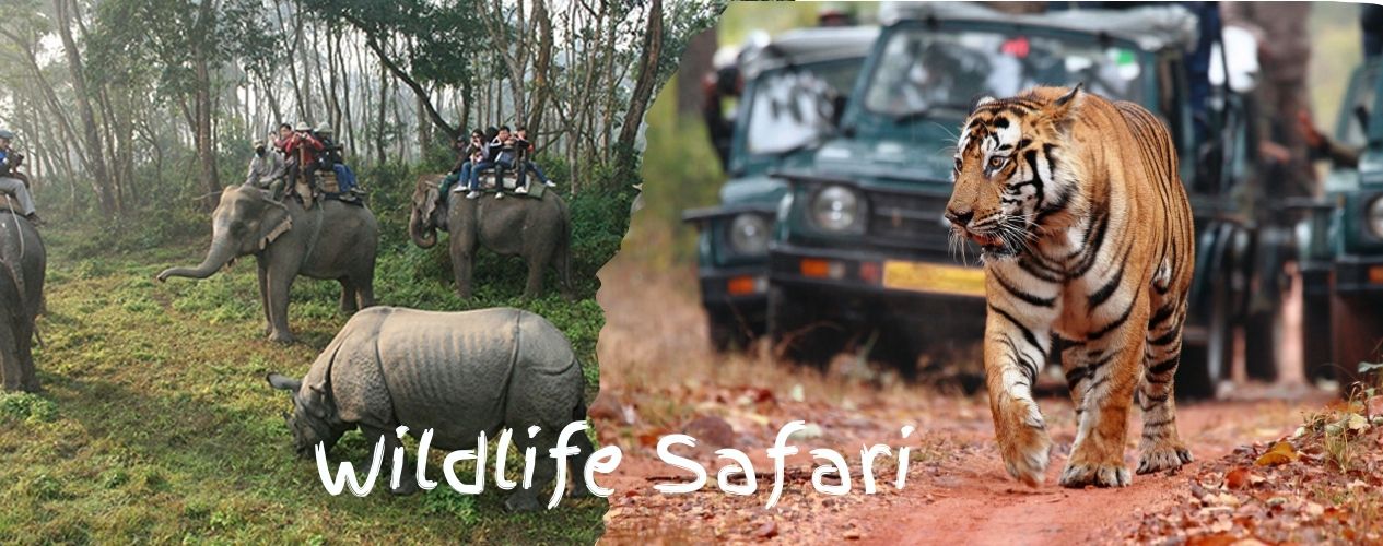 Viaje a India